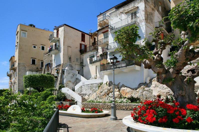 Casa Susy Bouganville 400 Mt Dal Mare Sperlonga Exteriör bild