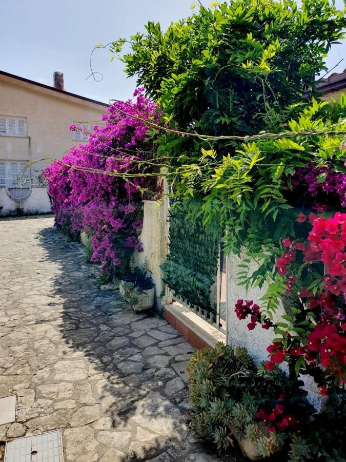Casa Susy Bouganville 400 Mt Dal Mare Sperlonga Exteriör bild